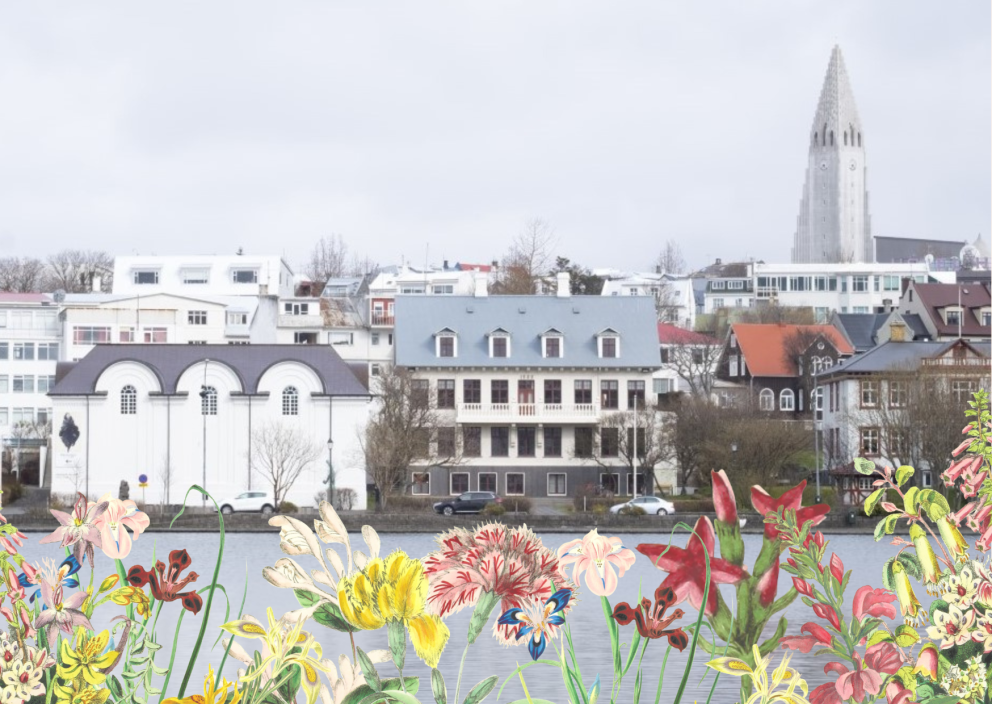 Einkunnir, prófsýning og útskrift