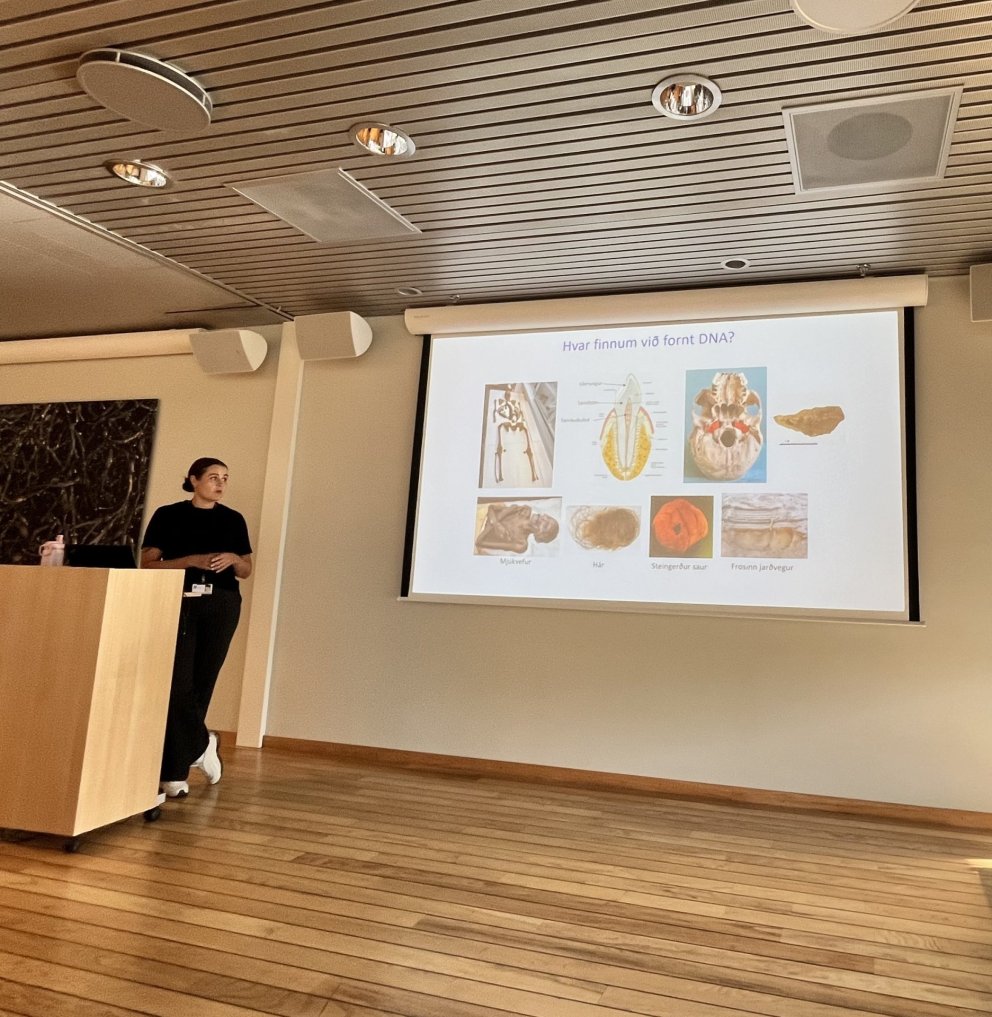 Fræðst um uppruna og hauskúpu