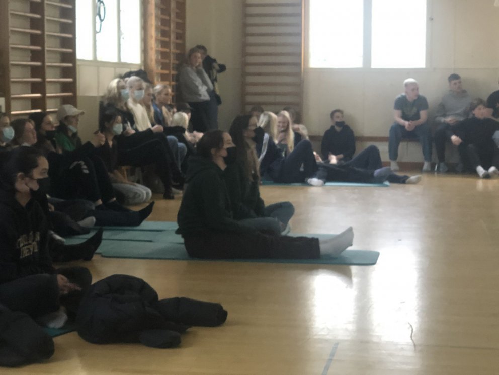 Heilsueflandi heimsókn