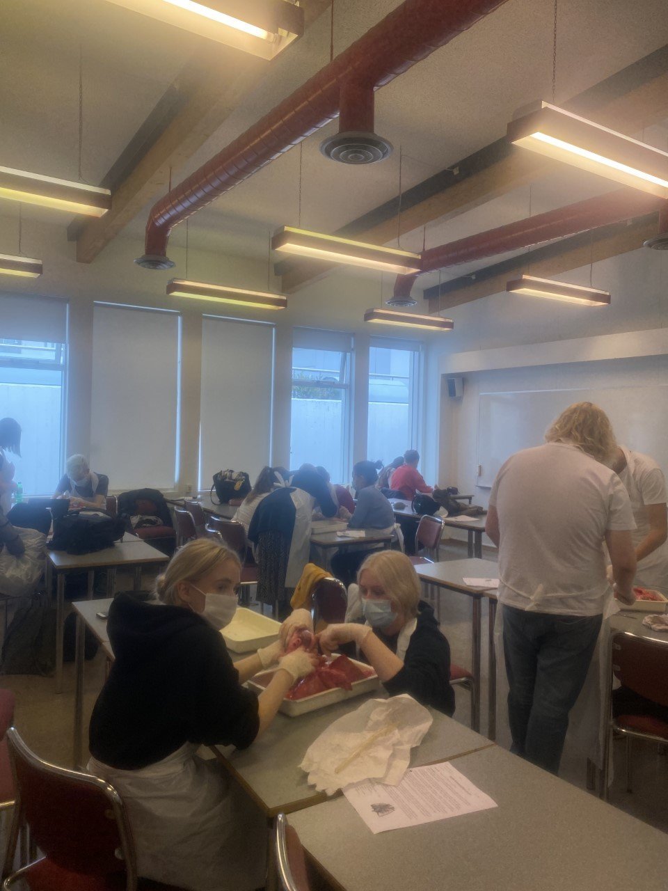 Blóðugt verkefni í líffræðitíma!