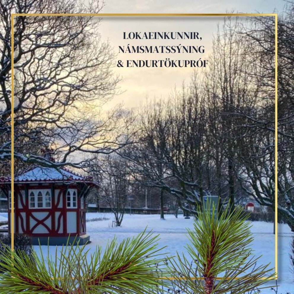 Einkunnir, námsmatssýning og endurtökupróf