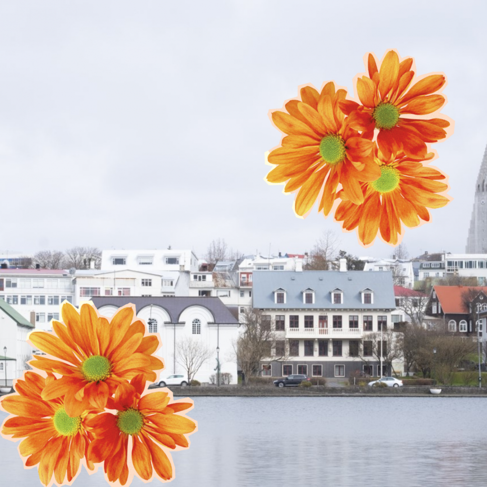 Innritun lokið - upplýsingar fyrir nýnema