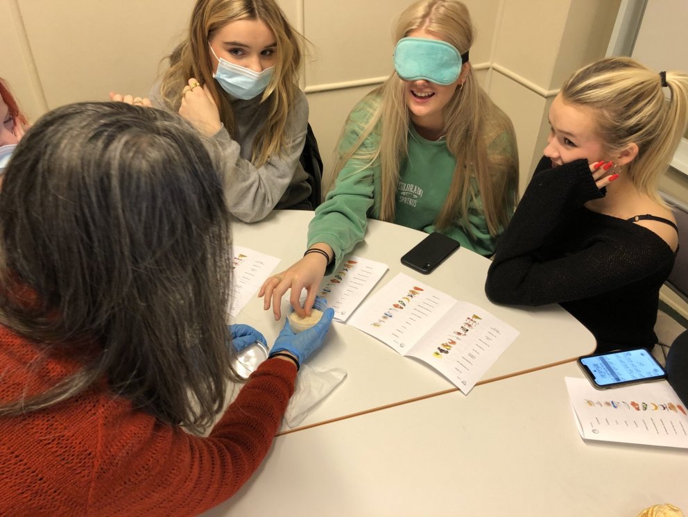 Frönsk tunga og skynfærin