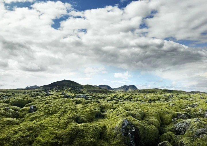 Áfram Kvennó, áfram umhverfisvernd!