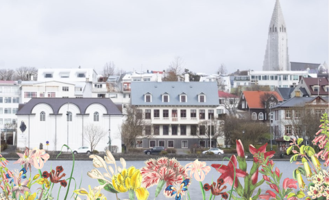 Einkunnir, prófsýning og útskrift