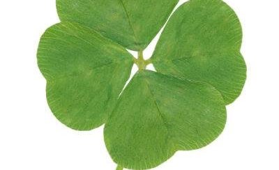 Vinningshafar í Edrúpotti eftir árshátíðarball