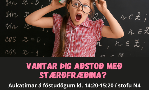 Aukatímar í stærðfræði