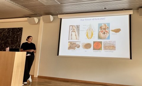 Fræðst um uppruna og hauskúpu