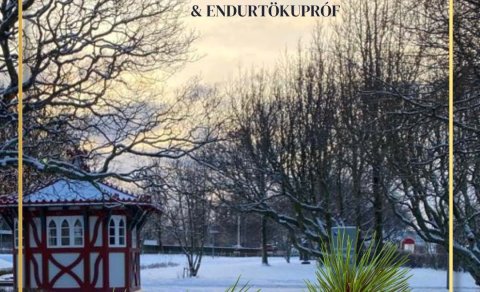 Einkunnir, prófsýning og endurtökupróf