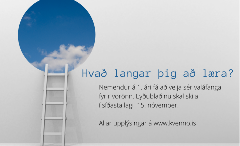 1. bekkingar velja sér áfanga