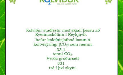 Viðurkenning fyrir þátttökuna