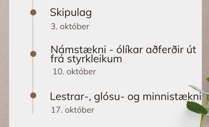 Örnámskeið hjá námsráðgjöfum