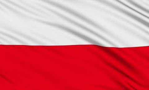 Stöðupróf í pólsku