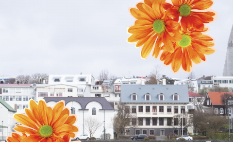 Innritun lokið - upplýsingar fyrir nýnema