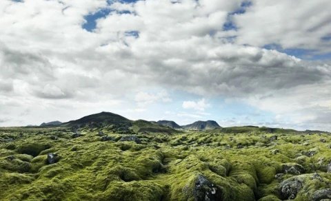 Áfram Kvennó, áfram umhverfisvernd!